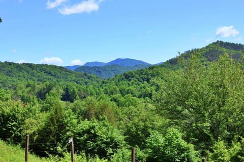The Oakes House in Qualla