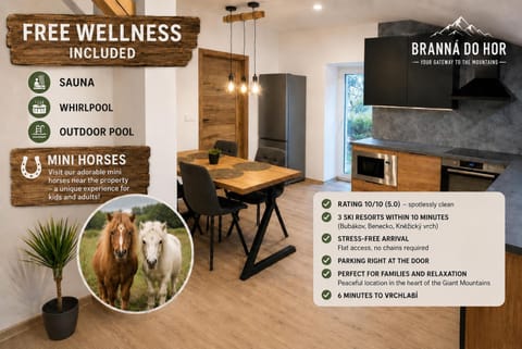 Coffee/tea facilities, Kitchen or kitchenette, kitchen, kitchen