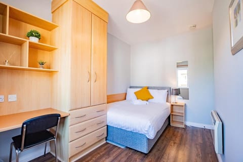 Four Bedroom Apartment in Limerick City Apartment in Limerick