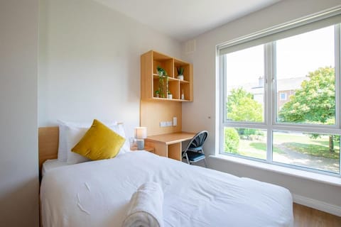 Four Bedroom Apartment in Limerick City Apartment in Limerick