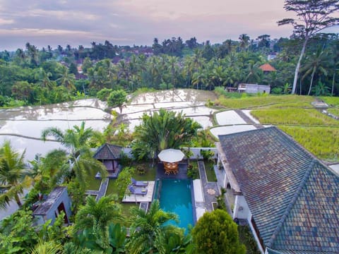 Property building, Day, Bird's eye view, Swimming pool