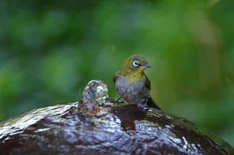 TheBlueDoor Bed and Breakfast in Western Cape