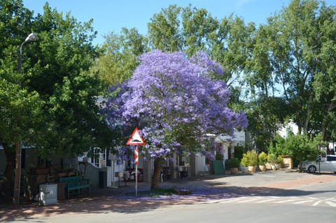 TheBlueDoor Bed and Breakfast in Western Cape