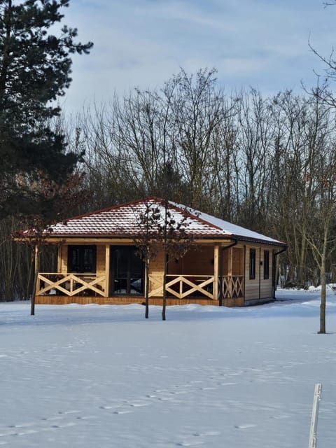 Property building, Day, Winter