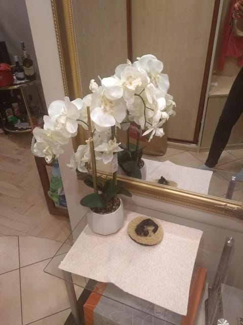 Apartament Gdynia 24 Centrum Noclegi Mieszkanie Pokoje Śródmieście Apartment in Pomeranian Voivodeship