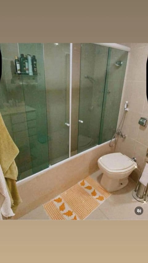 Toilet, Bathroom, towels