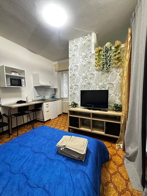 Bed, TV and multimedia, Kitchen or kitchenette