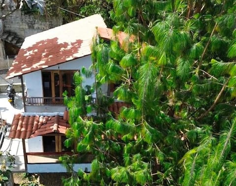 Property building, Garden view