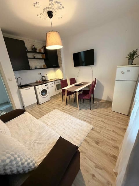 Bed, TV and multimedia, Living room, Photo of the whole room, Seating area, oven, stove