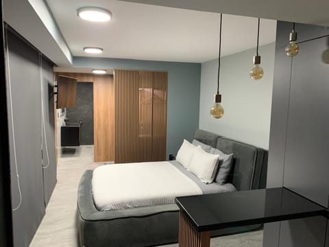 Suite acogedor Apartment hotel in Mexico City