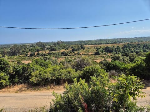 Peaceful 3-room apartment, refurbished and air-conditioned Apartment in Linguizzetta