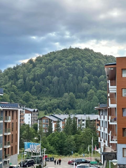 Spring, Neighbourhood, Natural landscape, City view, Mountain view, Street view, Location