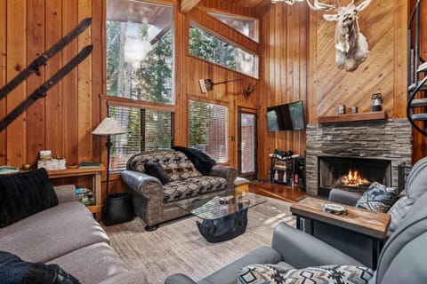 Day, TV and multimedia, Living room, fireplace, furniture