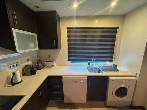 Kitchen or kitchenette, dishwasher, toaster, washing machine, kitchen