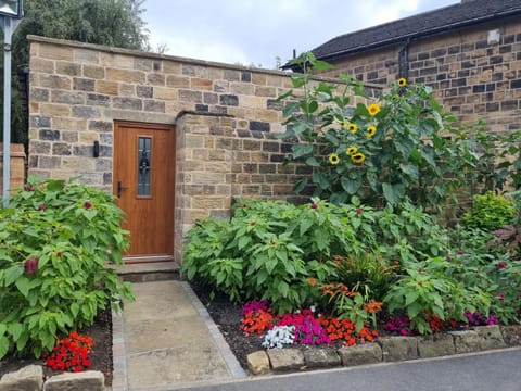 Property building, Garden view