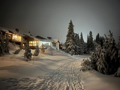 Kirkwood Studio SKI IN Walk out House in Kirkwood