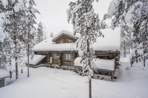 Day, Bird's eye view, Winter