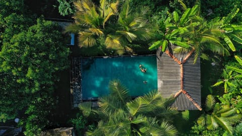 Spring, Day, Natural landscape, Garden, Garden view, Pool view, Swimming pool