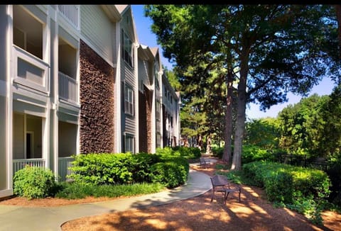 Cozy Atlanta Apartment Apartment in Brookhaven