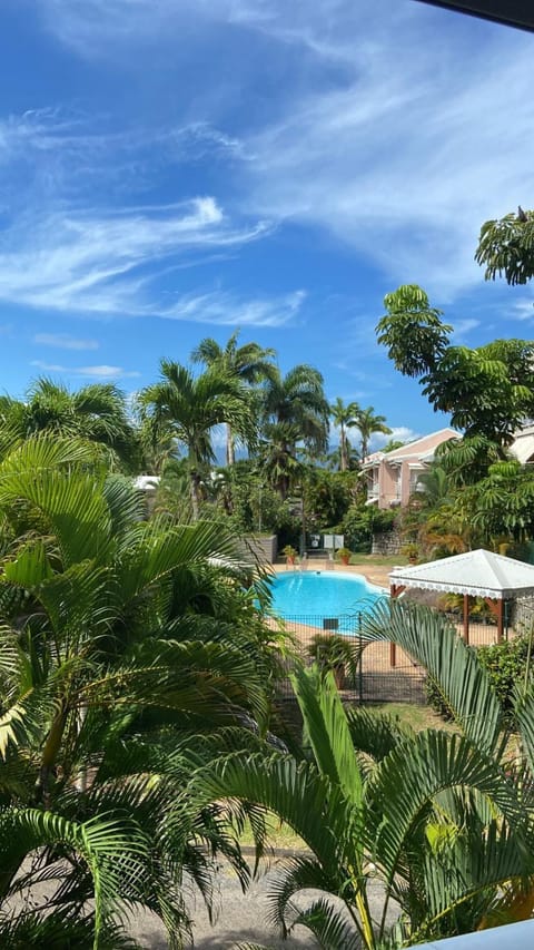 Garden, Swimming pool, Swimming pool