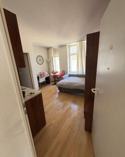 Central Stay Apartment in Zurich City