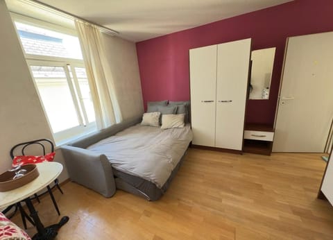 Central Stay Apartment in Zurich City