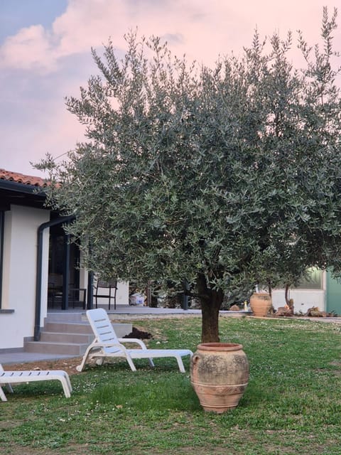 FRANCIACORTA Lodge ROOMS Bed and Breakfast in Province of Brescia