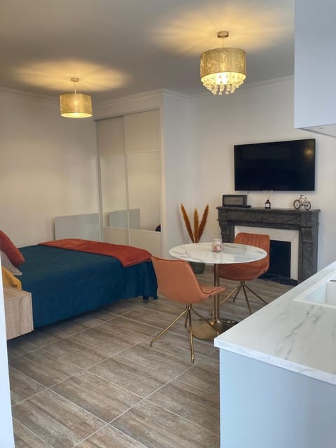 Studio Vintage avec cheminée décorative Apartment in Villefranche-sur-Saone