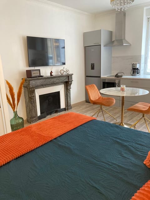 Studio Vintage avec cheminée décorative Apartment in Villefranche-sur-Saone
