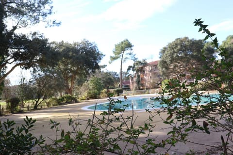 Other, Pool view, Swimming pool