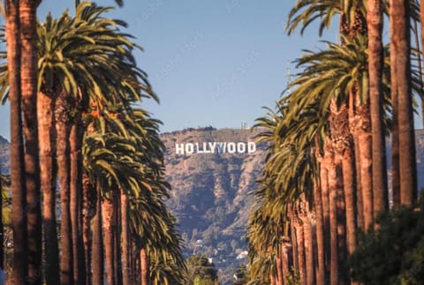 Snazzy 3BR Apt Hollywood with Pool & Spa Apartment in West Hollywood