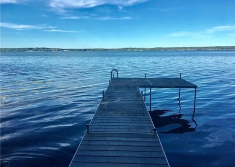 Peaceful Lakeview Cottage lake access & fire pit House in Fayette