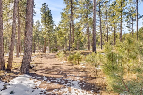 Trail Access On-Site! Wooded Colorado Springs Gem House in Black Forest