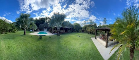 Garden view