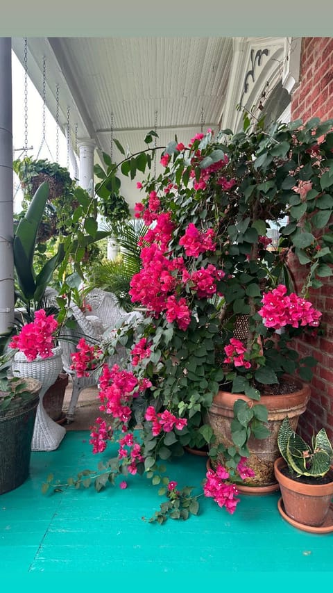 1890 Victorian Garden Home Bed and Breakfast Bed and Breakfast in Lexington