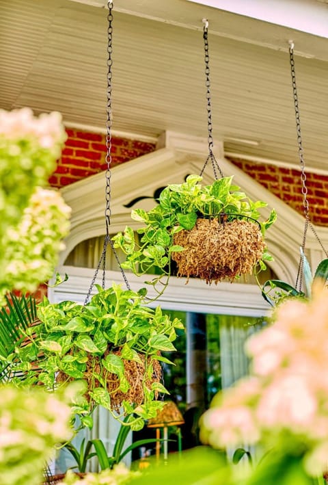 1890 Victorian Garden Home Bed and Breakfast Bed and Breakfast in Lexington