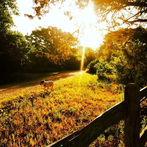 Beautiful Hill Country Hideaway House in Kyle