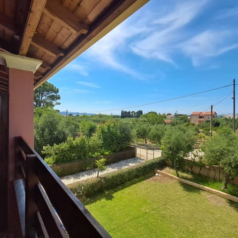 Garden, Garden view, Garden view