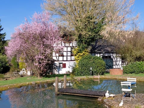 Property building, Spring, Garden view