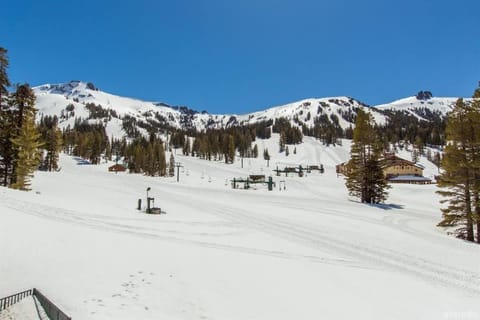 True Ski in out Large 2 bdrm Mtn Views 4 beds House in Kirkwood