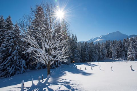 Day, Natural landscape, Winter, Mountain view