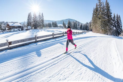 Natural landscape, Activities, Winter, Mountain view