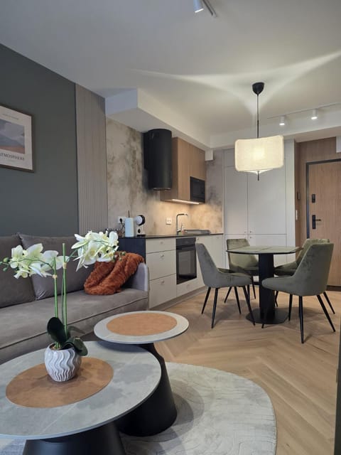Kitchen or kitchenette, Living room, Seating area, Dining area