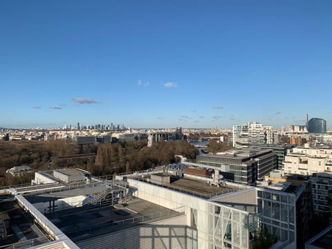 Charming studio Eiffel Tower view Apartment in Issy-les-Moulineaux