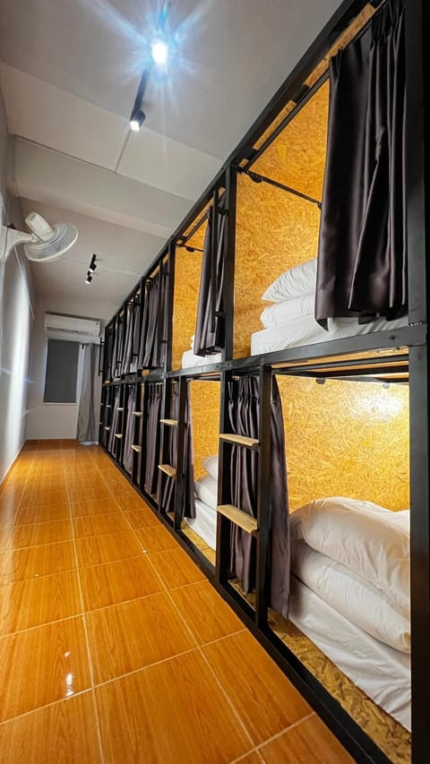 Bed, Photo of the whole room, Bedroom, bunk bed