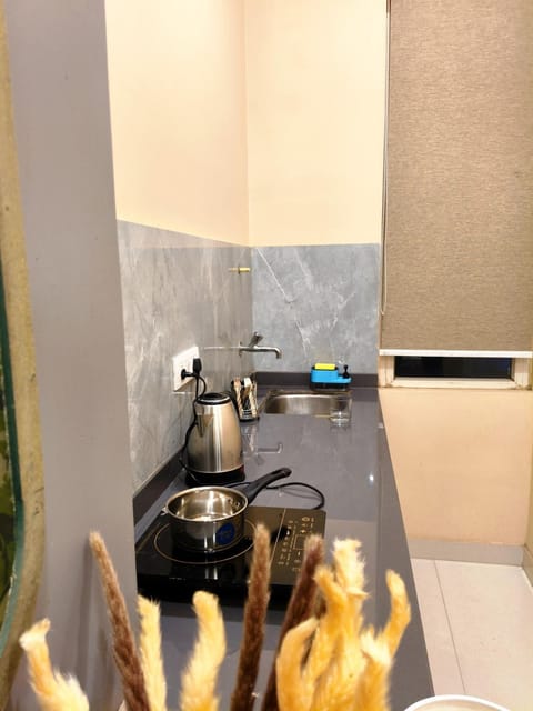 Jaipur Rentals Designer studio luxurious living Apartment in Jaipur