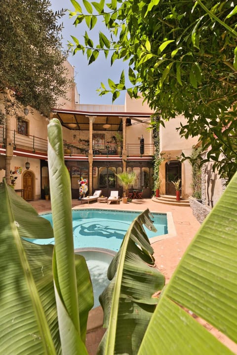 Property view