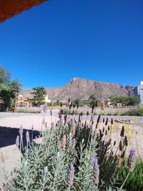 Natural landscape