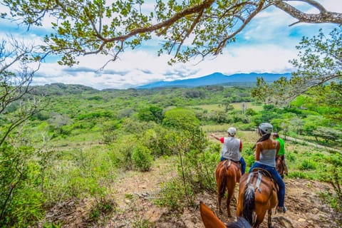 Horse-riding, Horse-riding