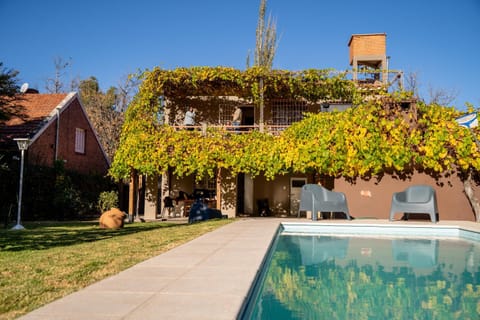 Patio, Natural landscape, Garden, Swimming pool